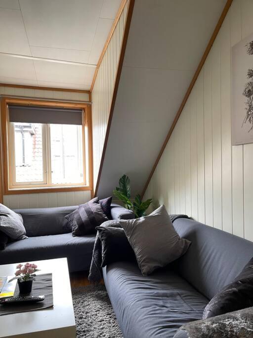 City Center Stylish Loft 特隆赫姆 外观 照片