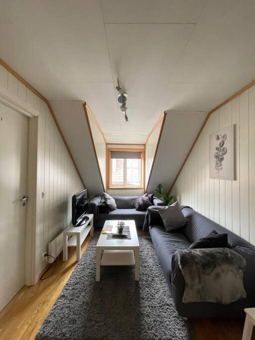City Center Stylish Loft 特隆赫姆 外观 照片